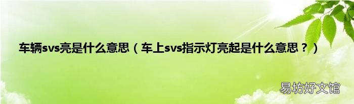 车上svs指示灯亮起是什么意思？ 车辆svs亮是什么意思