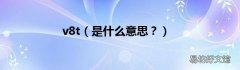 是什么意思？ v8t