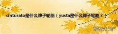 yusta是什么牌子轮胎？ cinturato是什么牌子轮胎