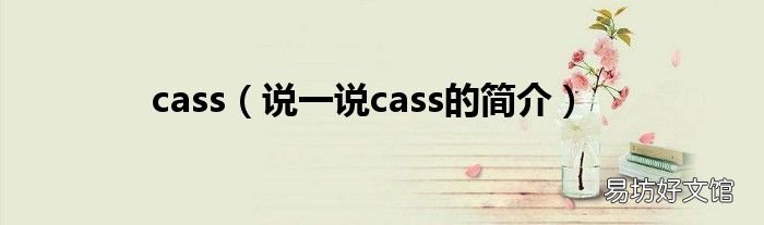 说一说cass的简介 cass