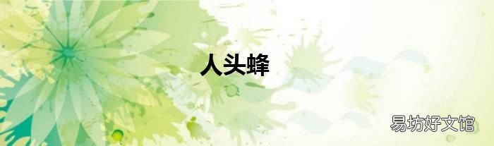 人头蜂