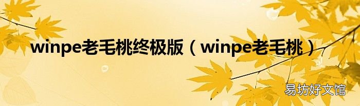 winpe老毛桃 winpe老毛桃终极版