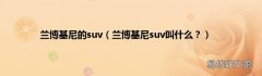 兰博基尼suv叫什么？ 兰博基尼的suv