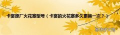 卡宴的火花塞多久更换一次？ 卡宴原厂火花塞型号