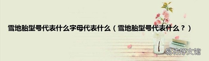 雪地胎型号代表什么? 雪地胎型号代表什么字母代表什么