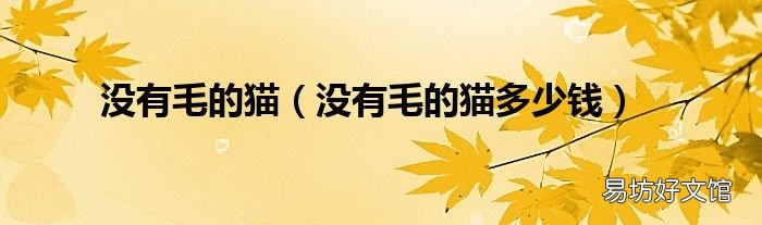 没有毛的猫多少钱 没有毛的猫