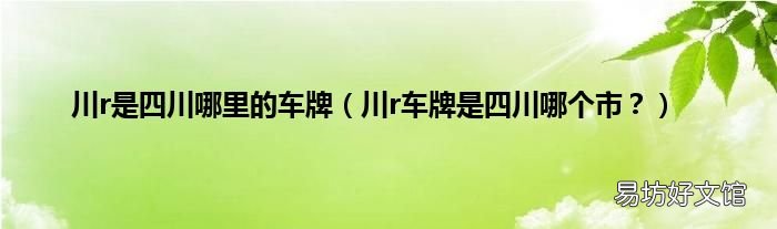 川r车牌是四川哪个市? 川r是四川哪里的车牌