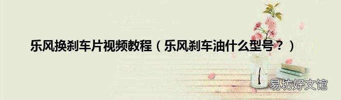 乐风刹车油什么型号? 乐风换刹车片视频教程