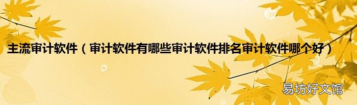 审计软件有哪些审计软件排名审计软件哪个好 主流审计软件