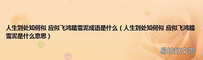 人生到处知何似 应似飞鸿踏雪泥是什么意思 人生到处知何似 应似飞鸿踏雪泥成语是什么