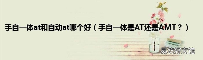 手自一体是AT还是AMT? 手自一体at和自动at哪个好