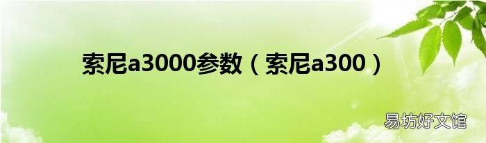 索尼a300 索尼a3000参数