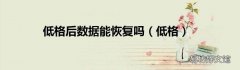 低格 低格后数据能恢复吗