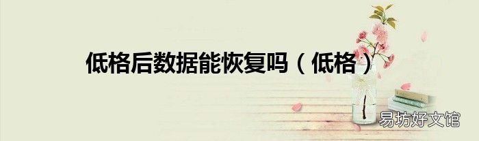 低格 低格后数据能恢复吗