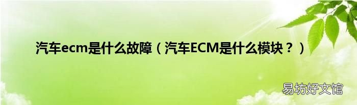 汽车ECM是什么模块? 汽车ecm是什么故障