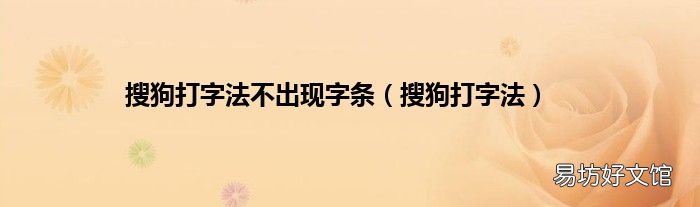 搜狗打字法 搜狗打字法不出现字条