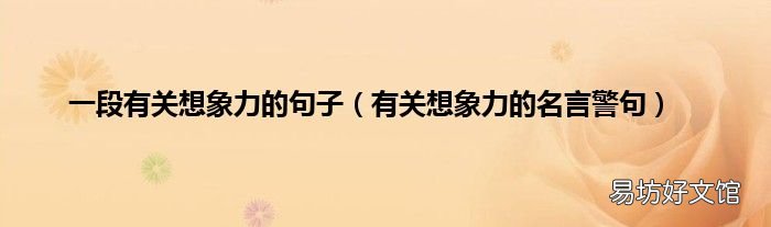 有关想象力的名言警句 一段有关想象力的句子