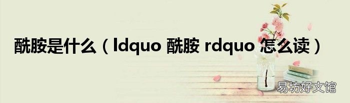 ldquo 酰胺 rdquo 怎么读 酰胺是什么