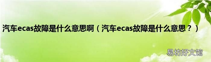 汽车ecas故障是什么意思? 汽车ecas故障是什么意思啊