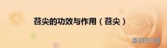 苕尖 苕尖的功效与作用