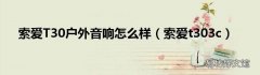 索爱t303c 索爱T30户外音响怎么样