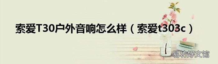 索爱t303c 索爱T30户外音响怎么样
