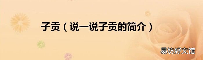 说一说子贡的简介 子贡