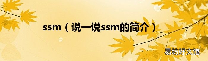 说一说ssm的简介 ssm