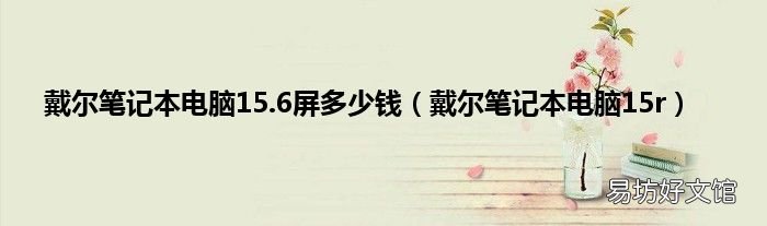 戴尔笔记本电脑15r 戴尔笔记本电脑15.6屏多少钱