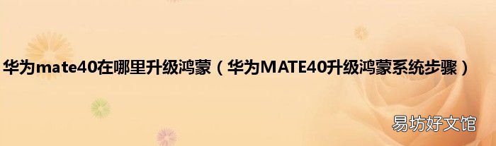 华为MATE40升级鸿蒙系统步骤 华为mate40在哪里升级鸿蒙