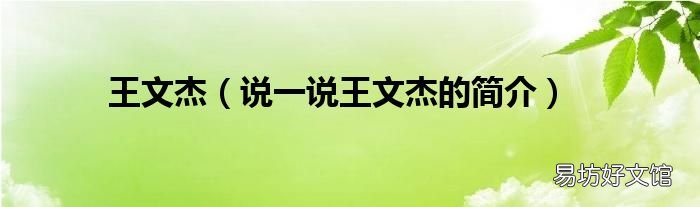 说一说王文杰的简介 王文杰