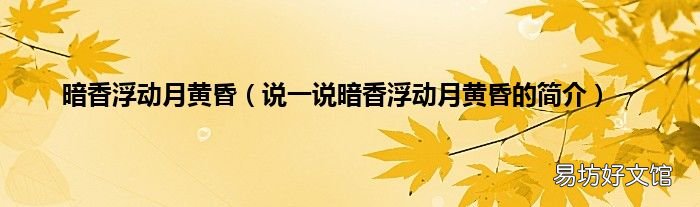说一说暗香浮动月黄昏的简介 暗香浮动月黄昏