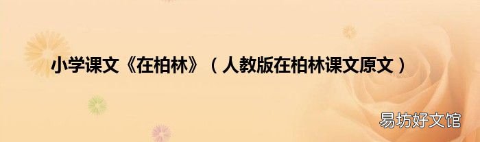 人教版在柏林课文原文 小学课文《在柏林》