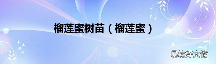 榴莲蜜 榴莲蜜树苗