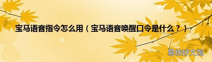 宝马语音唤醒口令是什么? 宝马语音指令怎么用
