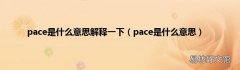 pace是什么意思 pace是什么意思解释一下