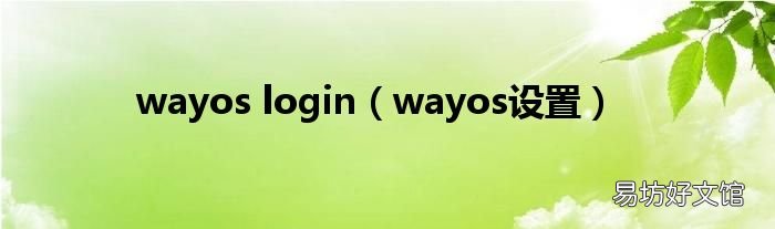 wayos设置 wayos login