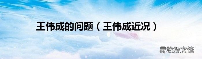 王伟成近况 王伟成的问题