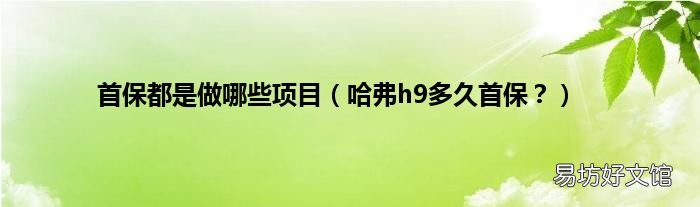 哈弗h9多久首保？ 首保都是做哪些项目