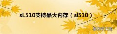 sl510 sL510支持最大内存