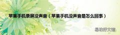 苹果手机没声音是怎么回事 苹果手机录屏没声音