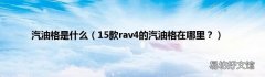 15款rav4的汽油格在哪里？ 汽油格是什么