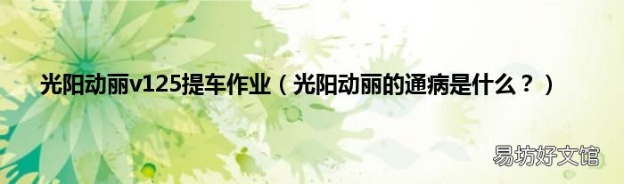 光阳动丽的通病是什么？ 光阳动丽v125提车作业