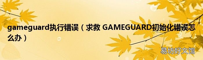 求救 GAMEGUARD初始化错误怎么办 gameguard执行错误