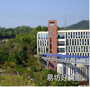 评测三星Galaxy S10和JPG为什么太业余且摄影高手都拍RAW
