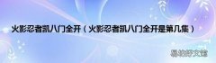 火影忍者凯八门全开是第几集 火影忍者凯八门全开