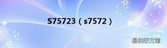 s7572 S75723