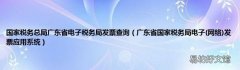 网络 广东省国家税务局电子发票应用系统 国家税务总局广东省电子税务局发票查询