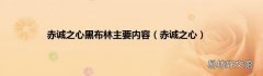 赤诚之心 赤诚之心黑布林主要内容