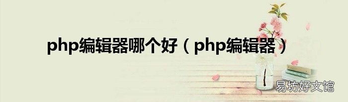 php编辑器 php编辑器哪个好